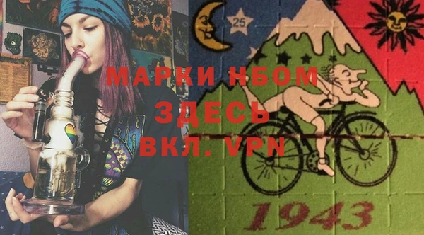 твердый Михайлов