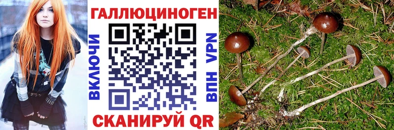 Псилоцибиновые грибы ЛСД  наркотики  Мариинский Посад 